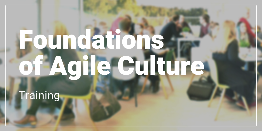 Foundations of Agile Culture Training