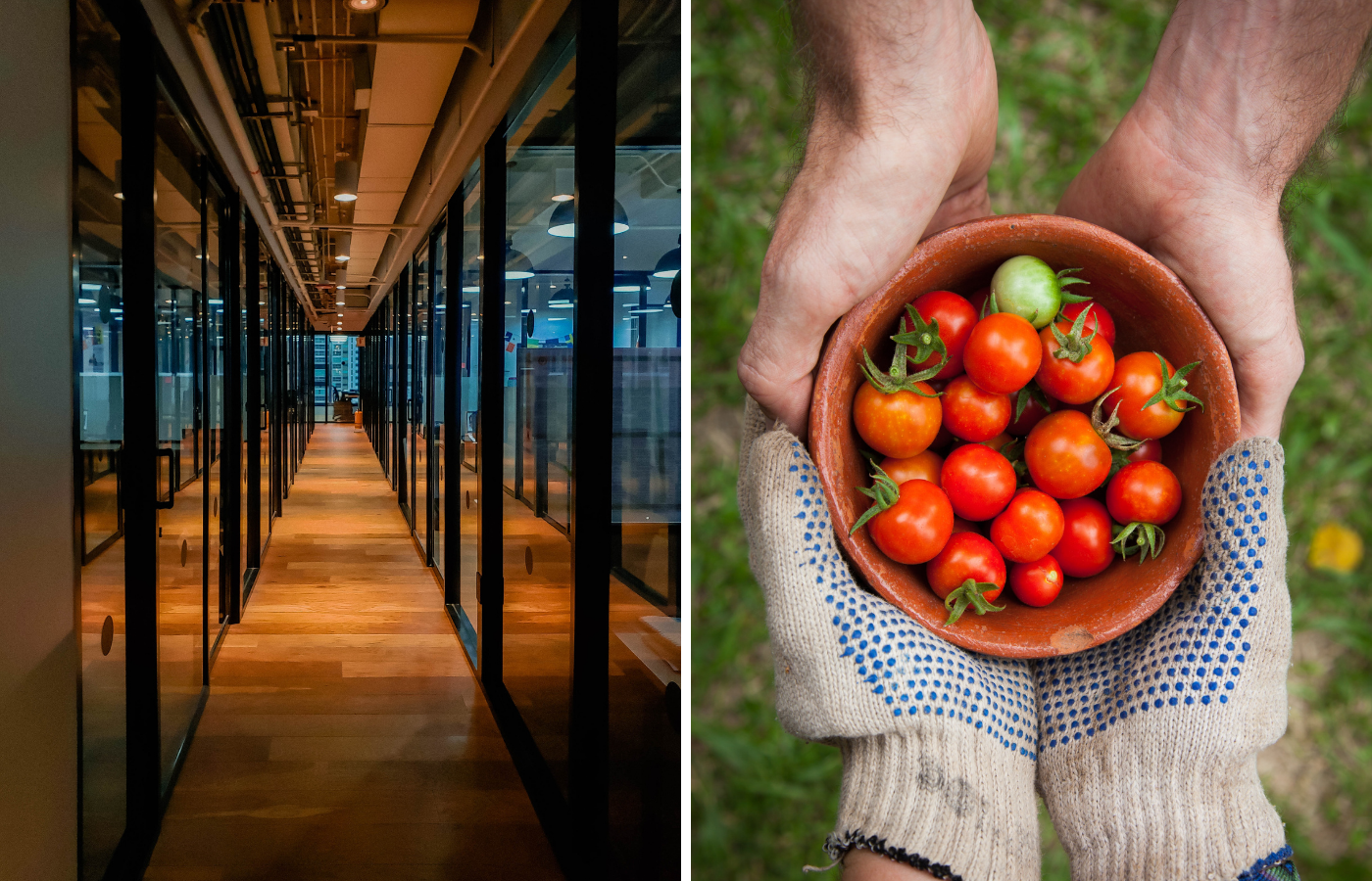 kaksi kuvaa vierekkäin: vasemmalla kuva lasiseinäisestä toimiston käytävästä. Oikeassa kuvassa kaksi kättä ojentaa tomaattikulhoa toiselle ihmiselle.