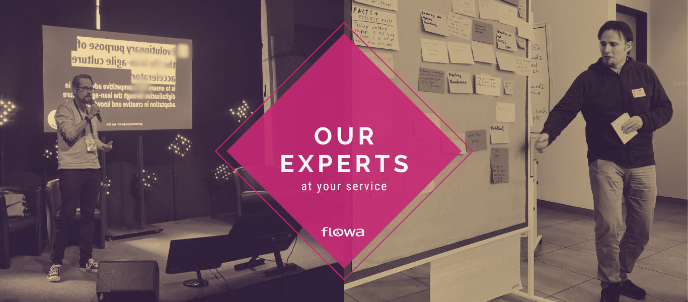Our experts at your service